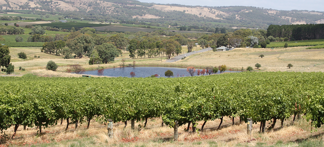 Blewitt Springs Co landscape